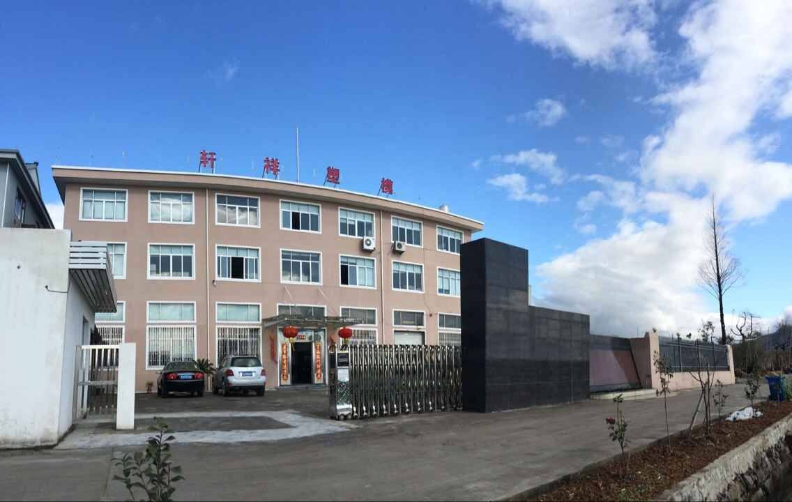 轩祥塑模